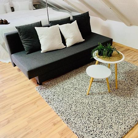 Studio Apartment In Direkter Naehe Zur Uniklinik Homburg Homburg  Exteriör bild