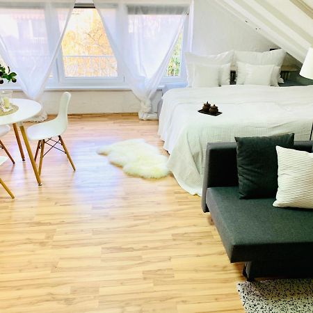 Studio Apartment In Direkter Naehe Zur Uniklinik Homburg Homburg  Exteriör bild