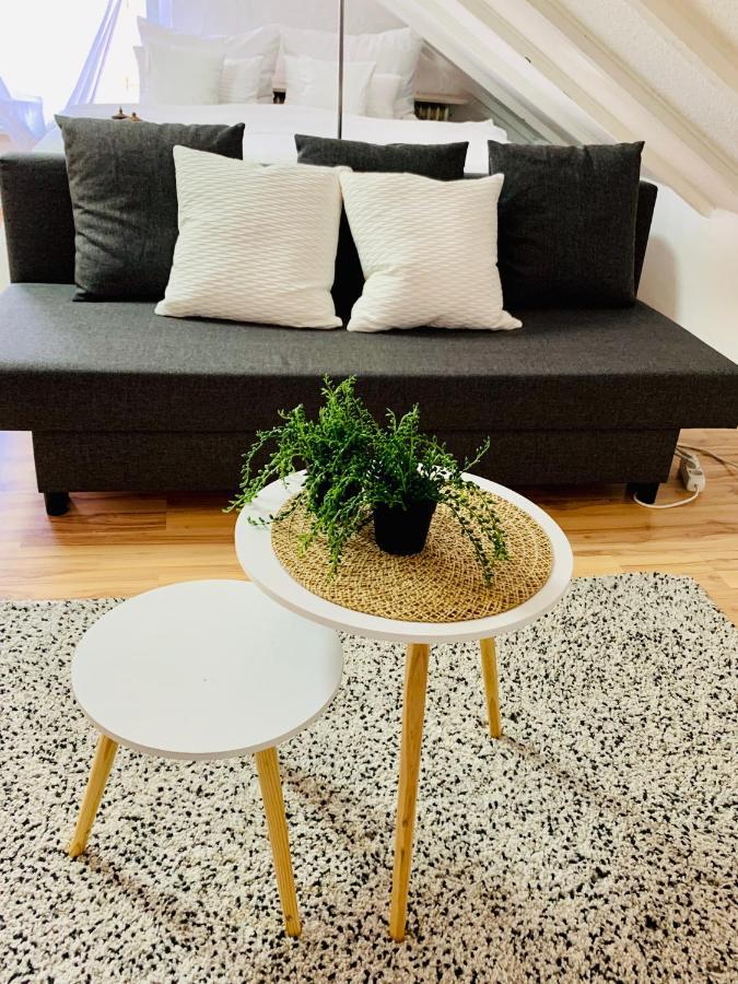 Studio Apartment In Direkter Naehe Zur Uniklinik Homburg Homburg  Exteriör bild
