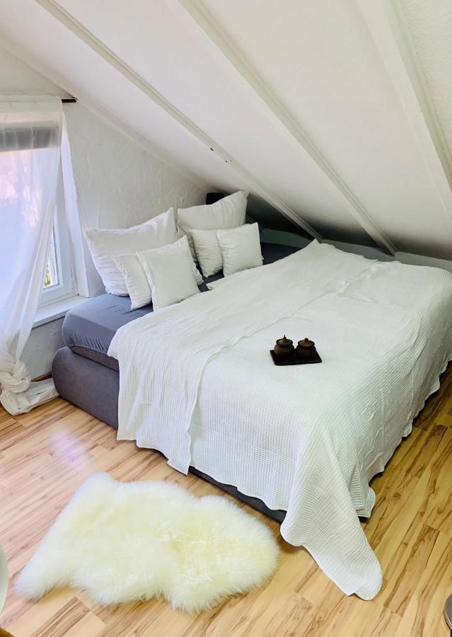 Studio Apartment In Direkter Naehe Zur Uniklinik Homburg Homburg  Exteriör bild