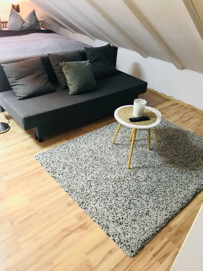 Studio Apartment In Direkter Naehe Zur Uniklinik Homburg Homburg  Exteriör bild